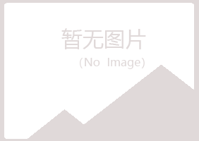 桦川县字迹能源有限公司